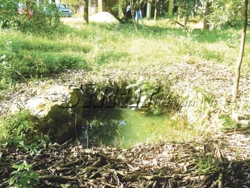 Khurafat Puja Telaga Emas